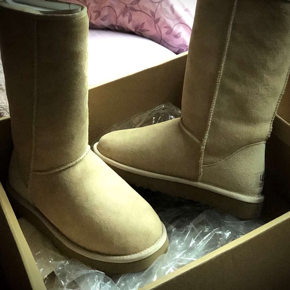 Authentic Uggs brand new in box 7